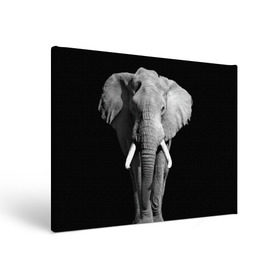 Холст прямоугольный с принтом Слон в Екатеринбурге, 100% ПВХ |  | Тематика изображения на принте: africa | big | black   white | elephant is an animal | shroud | tusks | африка | бивни | большой | животное | идет | савана | слон | черно   белый