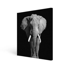 Холст квадратный с принтом Слон в Екатеринбурге, 100% ПВХ |  | africa | big | black   white | elephant is an animal | shroud | tusks | африка | бивни | большой | животное | идет | савана | слон | черно   белый