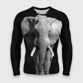 Мужской рашгард 3D с принтом Слон в Екатеринбурге,  |  | africa | big | black   white | elephant is an animal | shroud | tusks | африка | бивни | большой | животное | идет | савана | слон | черно   белый