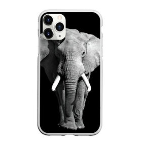 Чехол для iPhone 11 Pro матовый с принтом Слон в Екатеринбурге, Силикон |  | africa | big | black   white | elephant is an animal | shroud | tusks | африка | бивни | большой | животное | идет | савана | слон | черно   белый