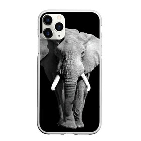 Чехол для iPhone 11 Pro Max матовый с принтом Слон в Екатеринбурге, Силикон |  | africa | big | black   white | elephant is an animal | shroud | tusks | африка | бивни | большой | животное | идет | савана | слон | черно   белый