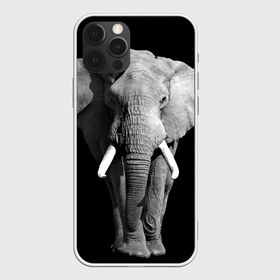 Чехол для iPhone 12 Pro Max с принтом Слон в Екатеринбурге, Силикон |  | Тематика изображения на принте: africa | big | black   white | elephant is an animal | shroud | tusks | африка | бивни | большой | животное | идет | савана | слон | черно   белый