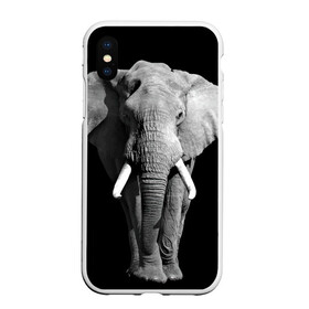 Чехол для iPhone XS Max матовый с принтом Слон в Екатеринбурге, Силикон | Область печати: задняя сторона чехла, без боковых панелей | africa | big | black   white | elephant is an animal | shroud | tusks | африка | бивни | большой | животное | идет | савана | слон | черно   белый