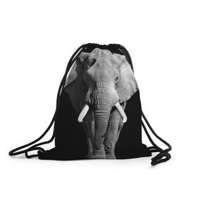 Рюкзак-мешок 3D с принтом Слон в Екатеринбурге, 100% полиэстер | плотность ткани — 200 г/м2, размер — 35 х 45 см; лямки — толстые шнурки, застежка на шнуровке, без карманов и подкладки | africa | big | black   white | elephant is an animal | shroud | tusks | африка | бивни | большой | животное | идет | савана | слон | черно   белый