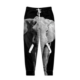 Мужские брюки 3D с принтом Слон в Екатеринбурге, 100% полиэстер | манжеты по низу, эластичный пояс регулируется шнурком, по бокам два кармана без застежек, внутренняя часть кармана из мелкой сетки | africa | big | black   white | elephant is an animal | shroud | tusks | африка | бивни | большой | животное | идет | савана | слон | черно   белый