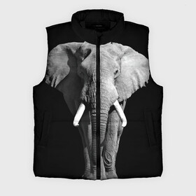 Мужской жилет утепленный 3D с принтом Слон в Екатеринбурге,  |  | africa | big | black   white | elephant is an animal | shroud | tusks | африка | бивни | большой | животное | идет | савана | слон | черно   белый