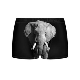 Мужские трусы 3D с принтом Слон в Екатеринбурге, 50% хлопок, 50% полиэстер | классическая посадка, на поясе мягкая тканевая резинка | africa | big | black   white | elephant is an animal | shroud | tusks | африка | бивни | большой | животное | идет | савана | слон | черно   белый