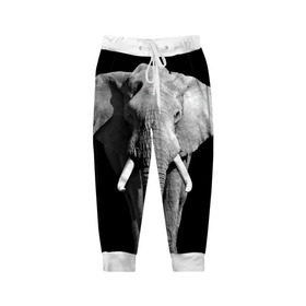 Детские брюки 3D с принтом Слон в Екатеринбурге, 100% полиэстер | манжеты по низу, эластичный пояс регулируется шнурком, по бокам два кармана без застежек, внутренняя часть кармана из мелкой сетки | africa | big | black   white | elephant is an animal | shroud | tusks | африка | бивни | большой | животное | идет | савана | слон | черно   белый