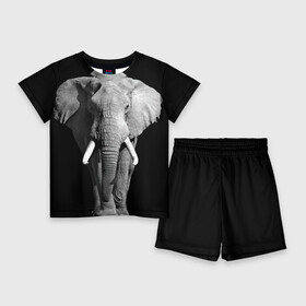 Детский костюм с шортами 3D с принтом Слон в Екатеринбурге,  |  | Тематика изображения на принте: africa | big | black   white | elephant is an animal | shroud | tusks | африка | бивни | большой | животное | идет | савана | слон | черно   белый