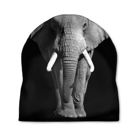 Шапка 3D с принтом Слон в Екатеринбурге, 100% полиэстер | универсальный размер, печать по всей поверхности изделия | africa | big | black   white | elephant is an animal | shroud | tusks | африка | бивни | большой | животное | идет | савана | слон | черно   белый
