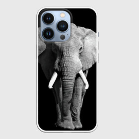 Чехол для iPhone 13 Pro с принтом Слон в Екатеринбурге,  |  | Тематика изображения на принте: africa | big | black   white | elephant is an animal | shroud | tusks | африка | бивни | большой | животное | идет | савана | слон | черно   белый