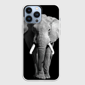 Чехол для iPhone 13 Pro Max с принтом Слон в Екатеринбурге,  |  | africa | big | black   white | elephant is an animal | shroud | tusks | африка | бивни | большой | животное | идет | савана | слон | черно   белый