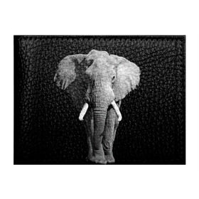 Обложка для студенческого билета с принтом Слон в Екатеринбурге, натуральная кожа | Размер: 11*8 см; Печать на всей внешней стороне | africa | big | black   white | elephant is an animal | shroud | tusks | африка | бивни | большой | животное | идет | савана | слон | черно   белый