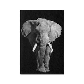 Обложка для паспорта матовая кожа с принтом Слон в Екатеринбурге, натуральная матовая кожа | размер 19,3 х 13,7 см; прозрачные пластиковые крепления | africa | big | black   white | elephant is an animal | shroud | tusks | африка | бивни | большой | животное | идет | савана | слон | черно   белый