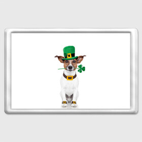 Магнит 45*70 с принтом Ирландия в Екатеринбурге, Пластик | Размер: 78*52 мм; Размер печати: 70*45 | animal | breed | clover | dog | folk | fun | funny | hat | hero | ireland | irish | saint patrick | герой | животное | ирландия | ирландский | клевер | народный | порода | прикол | святой патрик | собака | шляпа | шутка