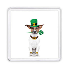 Магнит 55*55 с принтом Ирландия в Екатеринбурге, Пластик | Размер: 65*65 мм; Размер печати: 55*55 мм | animal | breed | clover | dog | folk | fun | funny | hat | hero | ireland | irish | saint patrick | герой | животное | ирландия | ирландский | клевер | народный | порода | прикол | святой патрик | собака | шляпа | шутка