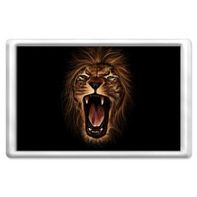 Магнит 45*70 с принтом Львиный рык в Екатеринбурге, Пластик | Размер: 78*52 мм; Размер печати: 70*45 | animal | beast | cat | feline | king | lion | meow | pussy | rage | roar | животное | зверь | король | кот | кошка | лев | львица | мяу | рык | хищник | царь | ярость