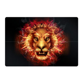 Магнитный плакат 3Х2 с принтом Огненный лев в Екатеринбурге, Полимерный материал с магнитным слоем | 6 деталей размером 9*9 см | animal | fire | flame | head | lion | look | predator | взгляд | голова | животное | лев | огненный | огонь | пламя | хищник