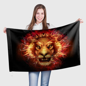 Флаг 3D с принтом Огненный лев в Екатеринбурге, 100% полиэстер | плотность ткани — 95 г/м2, размер — 67 х 109 см. Принт наносится с одной стороны | animal | fire | flame | head | lion | look | predator | взгляд | голова | животное | лев | огненный | огонь | пламя | хищник