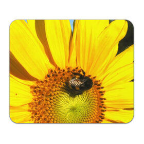 Коврик прямоугольный с принтом пчела на подсолнухе в Екатеринбурге, натуральный каучук | размер 230 х 185 мм; запечатка лицевой стороны | лето | насекомое | подсолнух | пчела