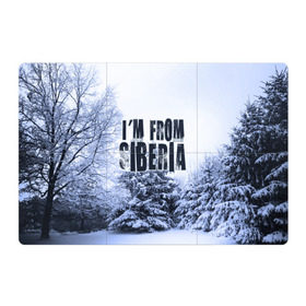 Магнитный плакат 3Х2 с принтом Я из Сибири в Екатеринбурге, Полимерный материал с магнитным слоем | 6 деталей размером 9*9 см | siberia | зима | россия | сибирь | снег | холод