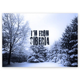 Поздравительная открытка с принтом Я из Сибири в Екатеринбурге, 100% бумага | плотность бумаги 280 г/м2, матовая, на обратной стороне линовка и место для марки
 | Тематика изображения на принте: siberia | зима | россия | сибирь | снег | холод
