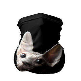 Бандана-труба 3D с принтом Сфинкс в Екатеринбурге, 100% полиэстер, ткань с особыми свойствами — Activecool | плотность 150‒180 г/м2; хорошо тянется, но сохраняет форму | black | cat | взгляд | кот | котик | котэ | кошка | сфинкс | уши | черный