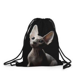 Рюкзак-мешок 3D с принтом Сфинкс в Екатеринбурге, 100% полиэстер | плотность ткани — 200 г/м2, размер — 35 х 45 см; лямки — толстые шнурки, застежка на шнуровке, без карманов и подкладки | black | cat | взгляд | кот | котик | котэ | кошка | сфинкс | уши | черный