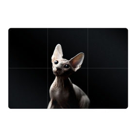 Магнитный плакат 3Х2 с принтом Сфинкс в Екатеринбурге, Полимерный материал с магнитным слоем | 6 деталей размером 9*9 см | Тематика изображения на принте: black | cat | взгляд | кот | котик | котэ | кошка | сфинкс | уши | черный