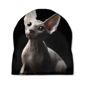 Шапка 3D с принтом Сфинкс в Екатеринбурге, 100% полиэстер | универсальный размер, печать по всей поверхности изделия | black | cat | взгляд | кот | котик | котэ | кошка | сфинкс | уши | черный
