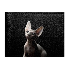 Обложка для студенческого билета с принтом Сфинкс в Екатеринбурге, натуральная кожа | Размер: 11*8 см; Печать на всей внешней стороне | Тематика изображения на принте: black | cat | взгляд | кот | котик | котэ | кошка | сфинкс | уши | черный