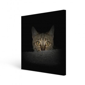 Холст квадратный с принтом Котик в Екатеринбурге, 100% ПВХ |  | животные | кот | котенок | котик | кошка