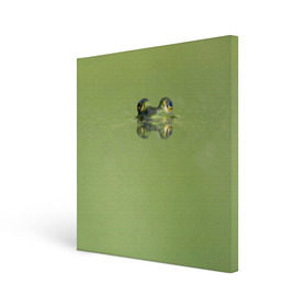Холст квадратный с принтом Лягушка в Екатеринбурге, 100% ПВХ |  | Тематика изображения на принте: болото | жаба | животные | лягушка