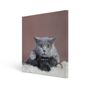 Холст квадратный с принтом Котик фотограф в Екатеринбурге, 100% ПВХ |  | Тематика изображения на принте: кот | котик | кошка | объектив | фотоаппарат | фотограф