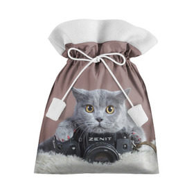 Подарочный 3D мешок с принтом Котик фотограф в Екатеринбурге, 100% полиэстер | Размер: 29*39 см | кот | котик | кошка | объектив | фотоаппарат | фотограф