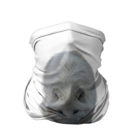 Бандана-труба 3D с принтом Белый волк в Екатеринбурге, 100% полиэстер, ткань с особыми свойствами — Activecool | плотность 150‒180 г/м2; хорошо тянется, но сохраняет форму | 