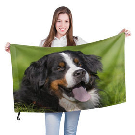 Флаг 3D с принтом Бернский зенненхунд в Екатеринбурге, 100% полиэстер | плотность ткани — 95 г/м2, размер — 67 х 109 см. Принт наносится с одной стороны | волкодав | дворняжка | домашние животные | любимец | мопс | овчарка | пес | песик | питомец | сенбернар | собака | собачка