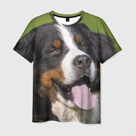 Мужская футболка 3D с принтом Бернский зенненхунд в Екатеринбурге, 100% полиэфир | прямой крой, круглый вырез горловины, длина до линии бедер | волкодав | дворняжка | домашние животные | любимец | мопс | овчарка | пес | песик | питомец | сенбернар | собака | собачка