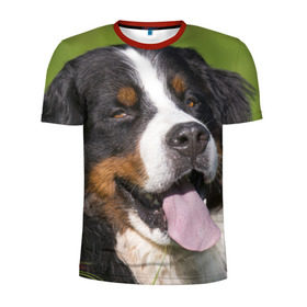 Мужская футболка 3D спортивная с принтом Бернский зенненхунд в Екатеринбурге, 100% полиэстер с улучшенными характеристиками | приталенный силуэт, круглая горловина, широкие плечи, сужается к линии бедра | волкодав | дворняжка | домашние животные | любимец | мопс | овчарка | пес | песик | питомец | сенбернар | собака | собачка