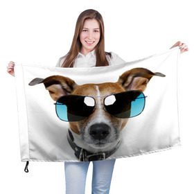 Флаг 3D с принтом Джек Рассел в очках в Екатеринбурге, 100% полиэстер | плотность ткани — 95 г/м2, размер — 67 х 109 см. Принт наносится с одной стороны | волкодав | дворняжка | джек | джек рассел | домашние животные | любимец | мопс | овчарка | пес | песик | питомец | рассел | сенбернар | собака | собачка
