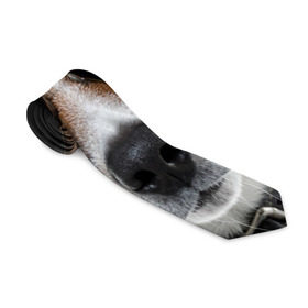 Галстук 3D с принтом Джек Рассел в очках в Екатеринбурге, 100% полиэстер | Длина 148 см; Плотность 150-180 г/м2 | волкодав | дворняжка | джек | джек рассел | домашние животные | любимец | мопс | овчарка | пес | песик | питомец | рассел | сенбернар | собака | собачка