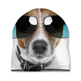 Шапка 3D с принтом Джек Рассел в очках в Екатеринбурге, 100% полиэстер | универсальный размер, печать по всей поверхности изделия | волкодав | дворняжка | джек | джек рассел | домашние животные | любимец | мопс | овчарка | пес | песик | питомец | рассел | сенбернар | собака | собачка