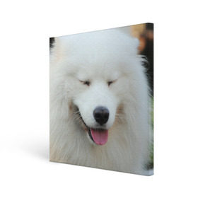 Холст квадратный с принтом Самоед в Екатеринбурге, 100% ПВХ |  | Тематика изображения на принте: далматин | лабрадор | любимец | овчарка | пес | питомец | самоед | собака | собачка | щенок