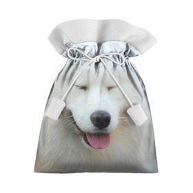 Подарочный 3D мешок с принтом Самоед в Екатеринбурге, 100% полиэстер | Размер: 29*39 см | далматин | лабрадор | любимец | овчарка | пес | питомец | самоед | собака | собачка | щенок