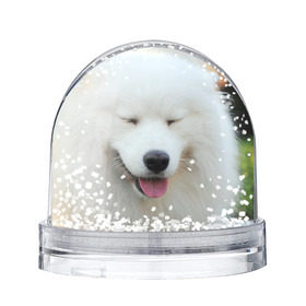 Снежный шар с принтом Самоед в Екатеринбурге, Пластик | Изображение внутри шара печатается на глянцевой фотобумаге с двух сторон | далматин | лабрадор | любимец | овчарка | пес | питомец | самоед | собака | собачка | щенок