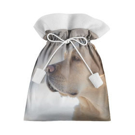 Подарочный 3D мешок с принтом Лабрадор в Екатеринбурге, 100% полиэстер | Размер: 29*39 см | Тематика изображения на принте: далматин | далматинец | дворняга | лабрадор | любимец | овчарка | пес | питомец | самоед | собака | собачка | щенок