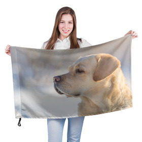 Флаг 3D с принтом Лабрадор в Екатеринбурге, 100% полиэстер | плотность ткани — 95 г/м2, размер — 67 х 109 см. Принт наносится с одной стороны | далматин | далматинец | дворняга | лабрадор | любимец | овчарка | пес | питомец | самоед | собака | собачка | щенок