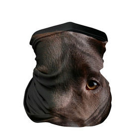 Бандана-труба 3D с принтом Лабрадор в Екатеринбурге, 100% полиэстер, ткань с особыми свойствами — Activecool | плотность 150‒180 г/м2; хорошо тянется, но сохраняет форму | далматин | далматинец | дворняга | лабрадор | любимец | овчарка | пес | питомец | самоед | собака | собачка | щенок