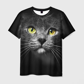 Мужская футболка 3D с принтом Кошачий взгляд в Екатеринбурге, 100% полиэфир | прямой крой, круглый вырез горловины, длина до линии бедер | взгляд | взор | глаза | киска | кот | котёнок | кошка | усы