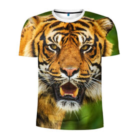Мужская футболка 3D спортивная с принтом Тигр в Екатеринбурге, 100% полиэстер с улучшенными характеристиками | приталенный силуэт, круглая горловина, широкие плечи, сужается к линии бедра | Тематика изображения на принте: дикая кошка | животное | клыки | лев | тигр. tiger | хищник